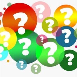 Mystery Bundle: Short Sleeve Tops